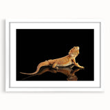Framed wall art featuring a vibrant lizard design on a white mat, perfect for adding a touch of nature-inspired decor to any room. Ideal for reptile enthusiasts and art lovers alike.