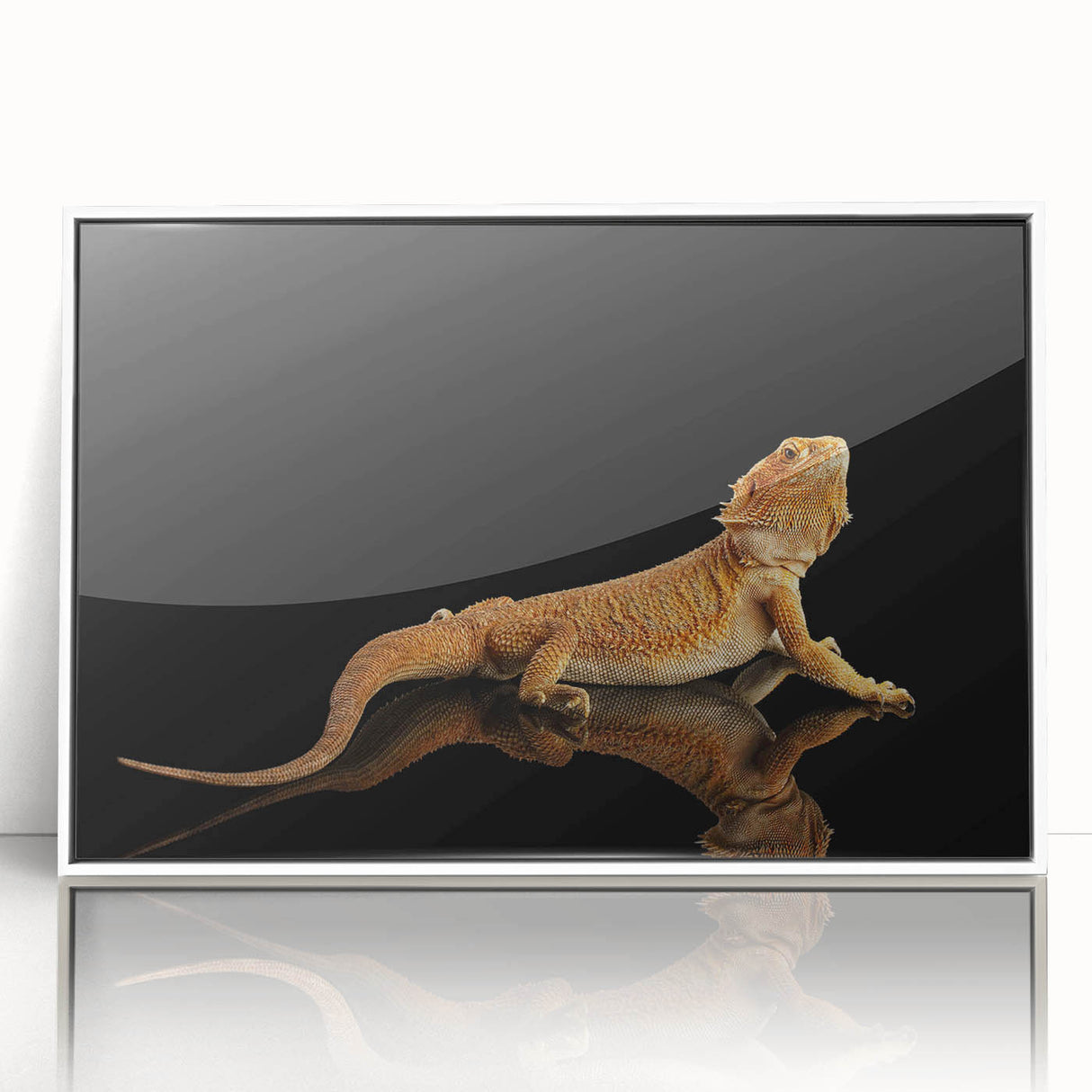 Framed wall art featuring a vibrant lizard design on a white background, showcasing intricate details and bold colors, perfect for reptile enthusiasts and modern decor.