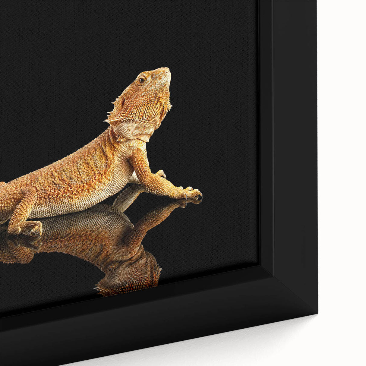 Close-up of a vibrant framed canvas wall art depicting a colorful lizard design, showcasing intricate details and textures, perfect for reptile enthusiasts and home decor.