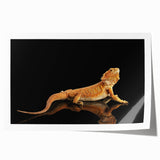 Colorful reptile lizard wall art print showcasing intricate patterns and vibrant details, perfect for enhancing home decor or art collections. This rolled print features a lively design ideal for reptile enthusiasts and nature lovers, adding a unique touch to any space.