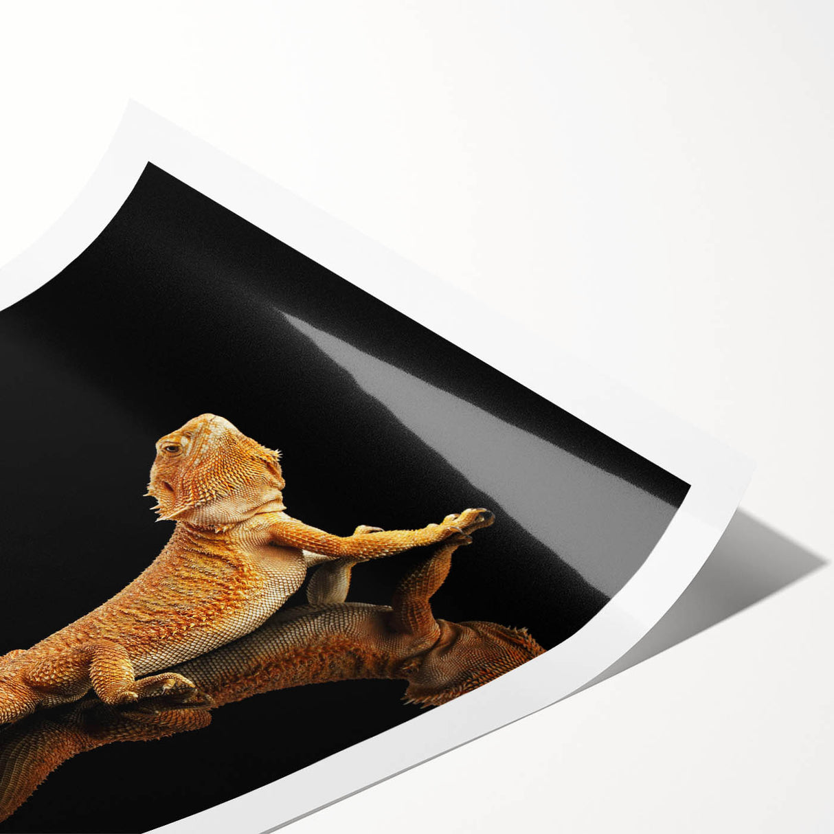 Vibrant rolled print showcasing a detailed lizard design, part of a reptile-themed wall art collection, ideal for enhancing modern home decor.