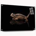 Elegant acrylic wall art featuring a vibrant lizard design, showcasing intricate details and colors on a glass surface, ideal for reptile enthusiasts and home decor.
