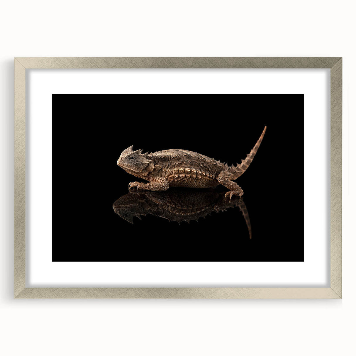 Framed wall art featuring a vibrant reptile lizard design in a silver frame, complete with a mat, ideal for enhancing modern decor in living spaces.