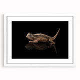Framed wall art featuring a colorful reptile lizard design, displayed with a white mat, ideal for enhancing home decor in nature-themed interiors.