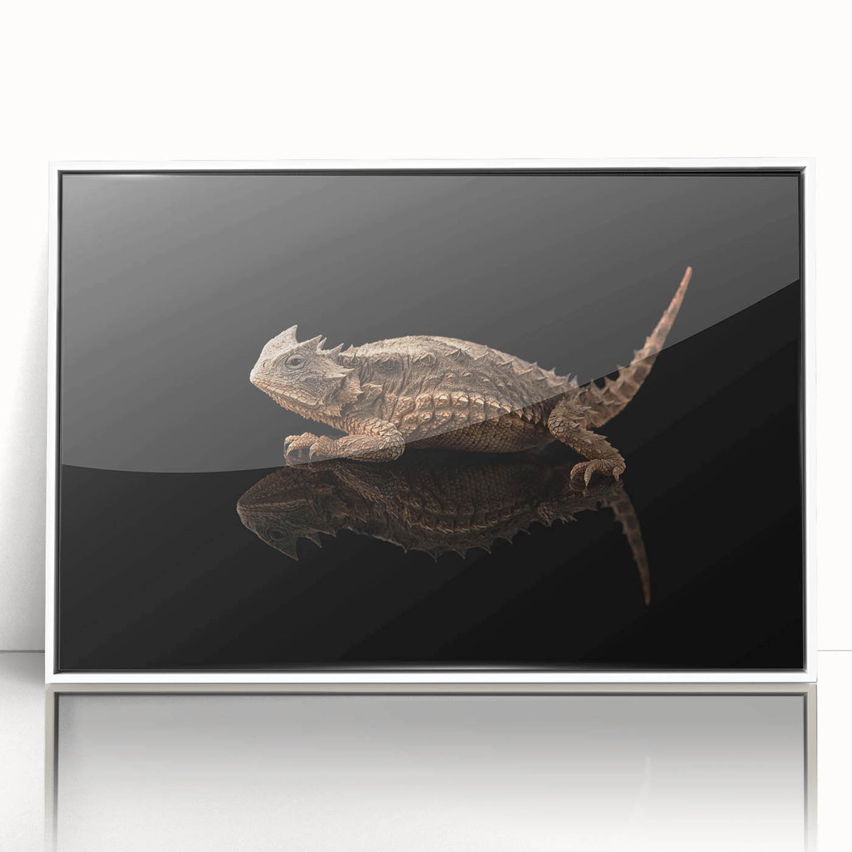 Framed wall art featuring a vibrant lizard design, showcasing intricate details and vivid colors against a white background, perfect for reptile enthusiasts or unique home decor.