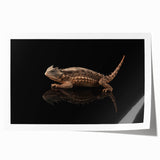Colorful rolled print showcasing a vibrant reptile and lizard design, perfect for enhancing modern home decor. Ideal for animal lovers and art enthusiasts.