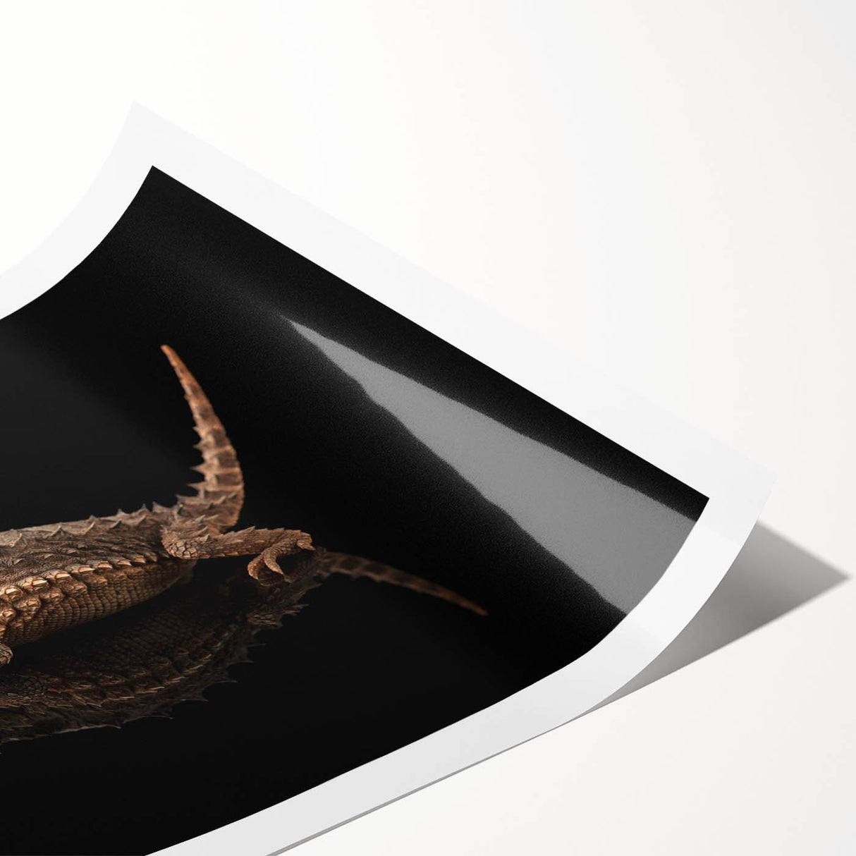 Colorful reptile lizard wall art design printed on high-quality canvas, showcasing intricate patterns and vibrant hues, ideal for home decor enthusiasts.