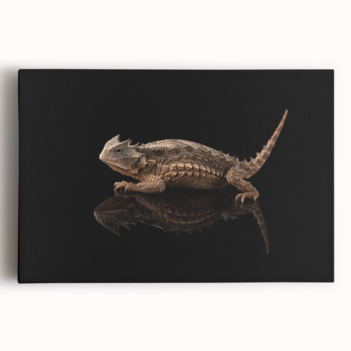 Colorful stretched canvas wall art featuring a detailed reptile and lizard design, ideal for enhancing home decor. Perfect for animal lovers and nature enthusiasts.