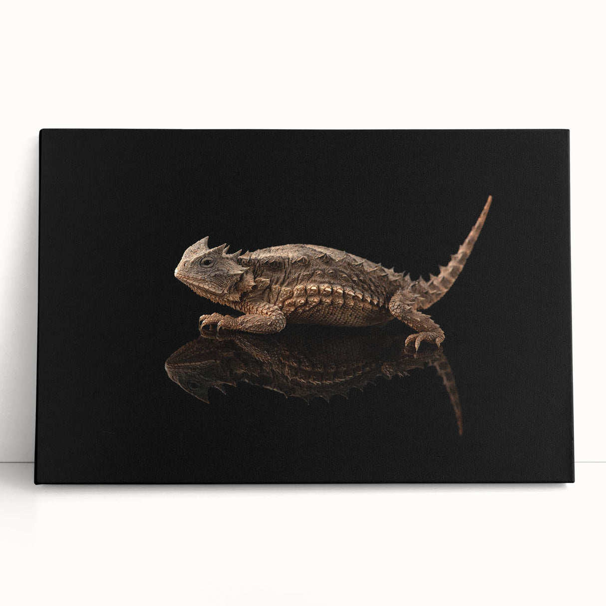 Stretched canvas wall art displaying a vibrant reptile and lizard design, perfect for nature enthusiasts, showcasing vivid colors and intricate details in a modern decor setting.