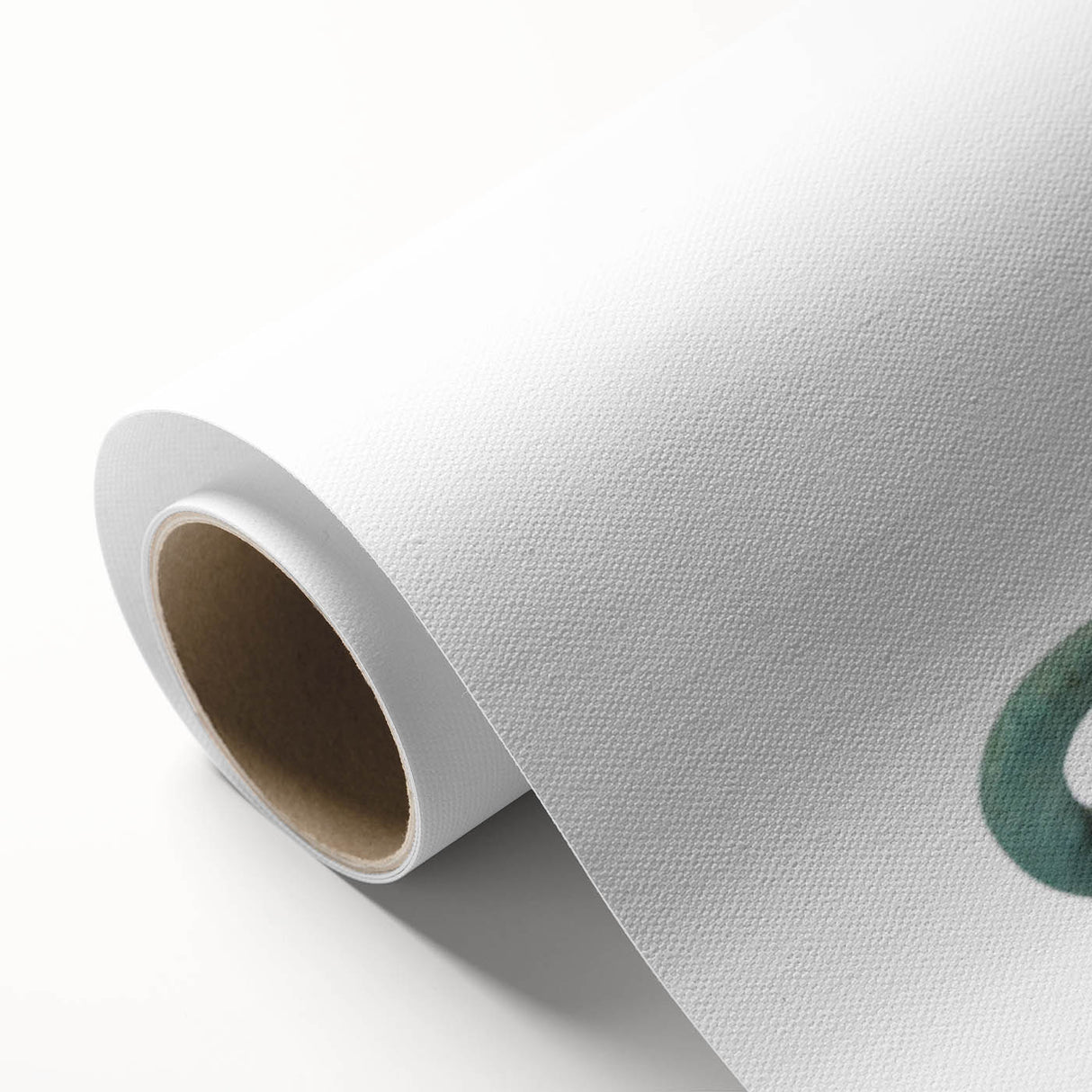 Vibrant rolled canvas artwork showcasing a detailed lizard design, ideal for reptile enthusiasts and nature lovers, elegantly packaged for easy display.