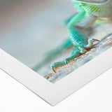 Colorful rolled canvas featuring a vibrant lizard design, ideal for reptile enthusiasts and home decor, showcasing intricate details and textures. Perfect for adding a unique touch to any space.