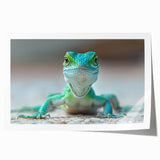 Colorful reptile lizard wall art print showcasing intricate designs and vibrant hues, ideal for adding a unique touch to any decor. Perfect for reptile enthusiasts and art collectors.