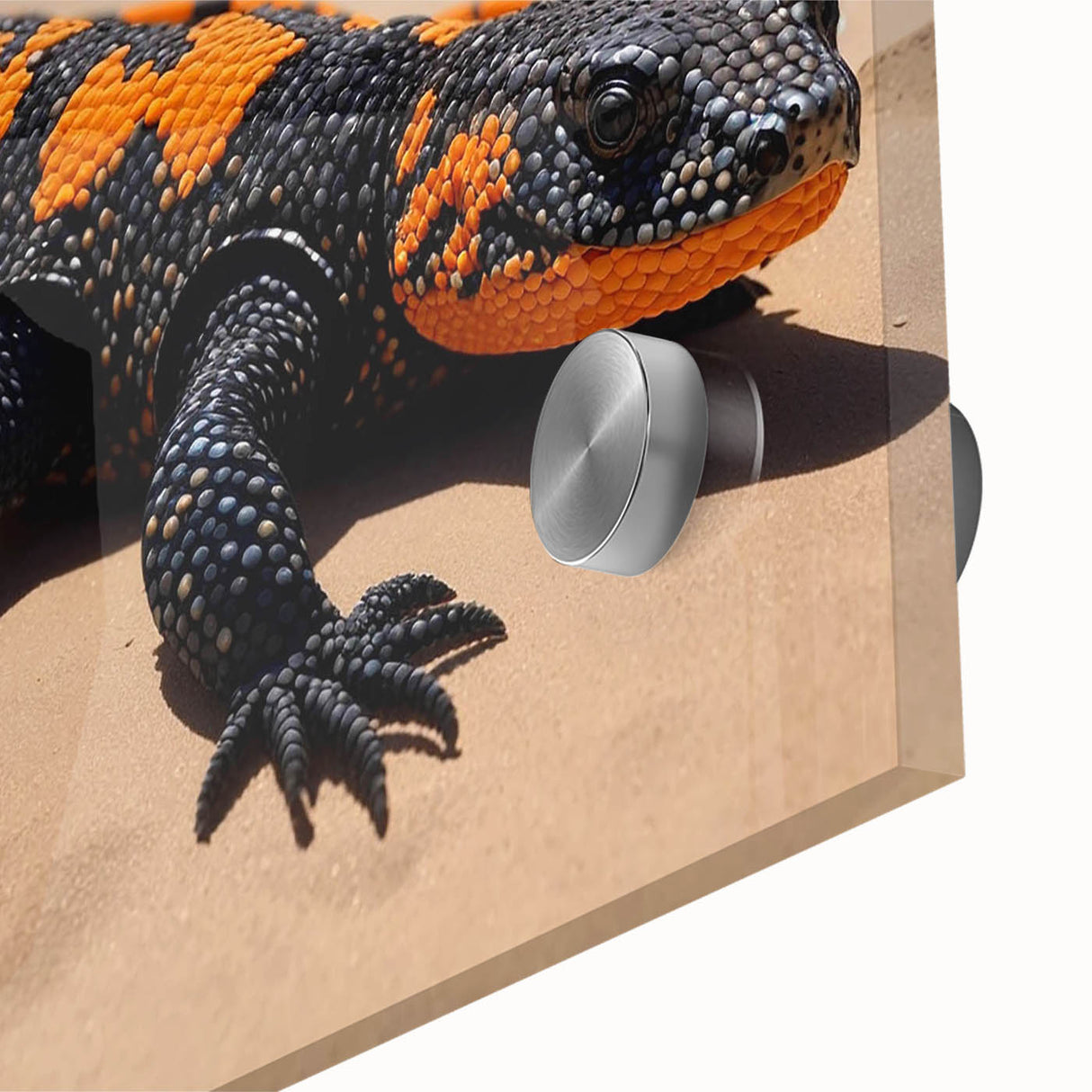 Close-up of a vibrant lizard design wall art collection printed on acrylic glass, showcasing intricate details and vivid colors, perfect for reptile enthusiasts.