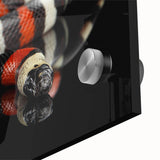 Close-up of a vibrant reptile-themed wall art design showcasing a detailed snake illustration on acrylic glass, perfect for enhancing modern home decor.