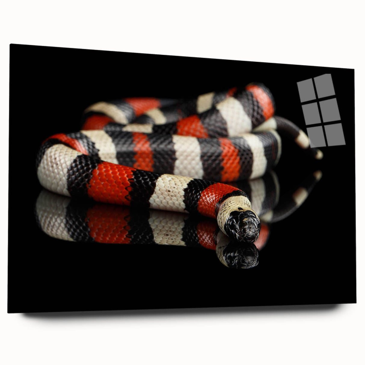 Acrylic wall art featuring a striking snake design in vibrant colors, displayed from a side view, showcasing its sleek glass finish and intricate details, perfect for reptile enthusiasts.