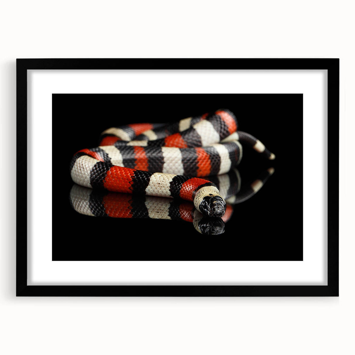 Black-framed wall art featuring a striking reptile and snake design, showcasing intricate details and vibrant colors, perfect for enhancing any modern decor.