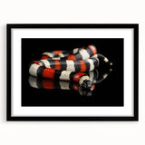 Black-framed wall art featuring a striking reptile and snake design, showcasing intricate details and vibrant colors, perfect for enhancing any modern decor.