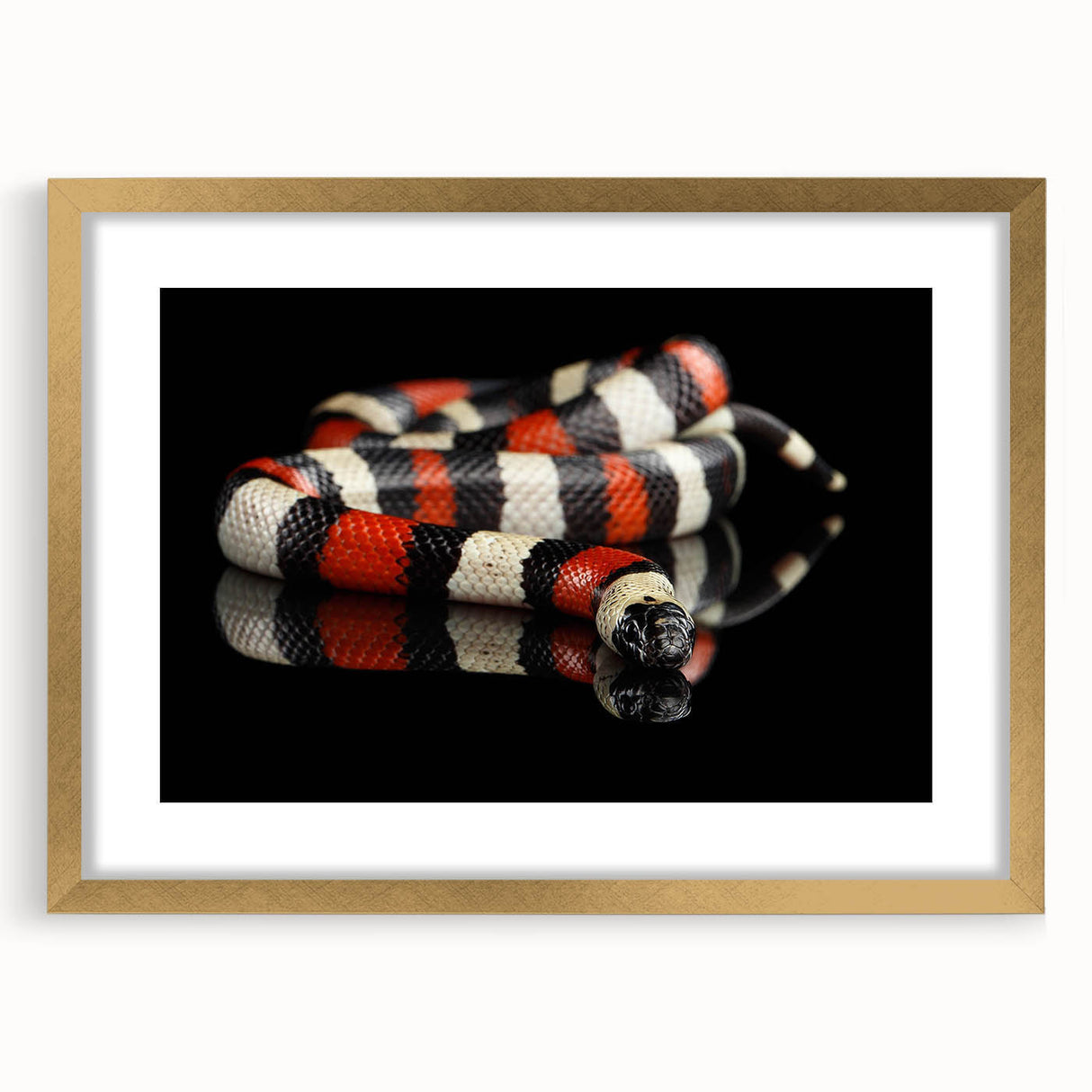 Elegant wall art featuring a detailed snake design, framed in gold with a white mat, showcasing intricate patterns that enhance modern decor aesthetics. Perfect for reptile enthusiasts and nature lovers seeking stylish home decor accents.