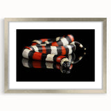 Framed wall art featuring a sleek silver border showcasing a vibrant reptile and snake design, perfect for enhancing contemporary home decor. Ideal for animal lovers and art enthusiasts.