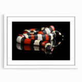 Framed wall art featuring a detailed snake design in vibrant colors, set against a white mat, ideal for reptile lovers and modern decor enthusiasts.