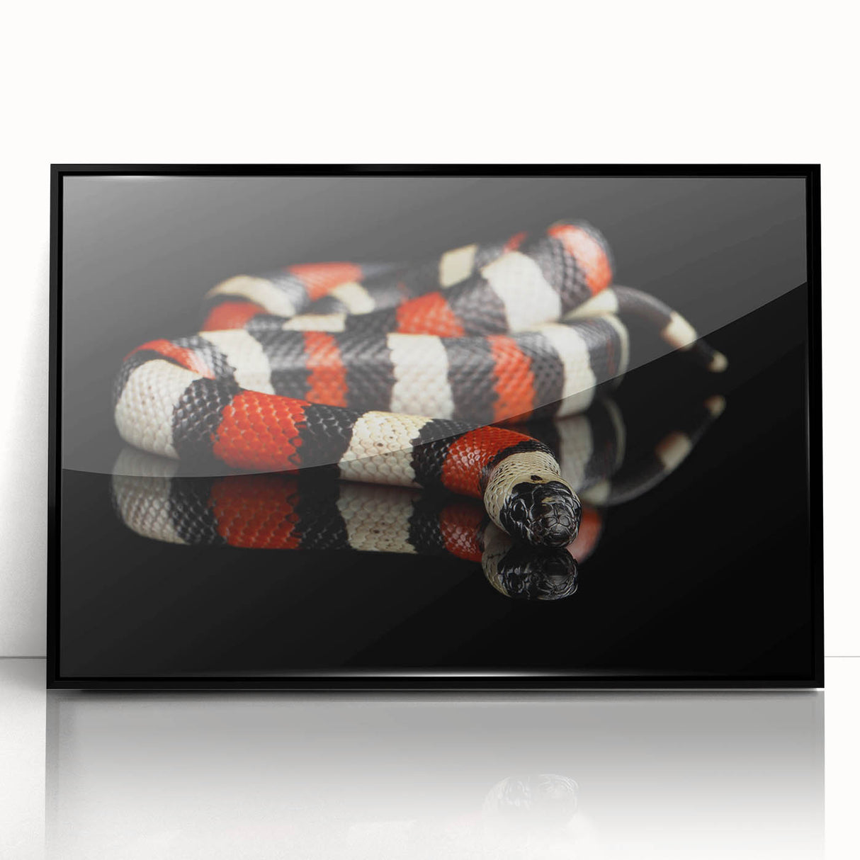 Framed wall art showcasing a striking snake design with intricate details, featuring a black frame and glossy acrylic finish, perfect for reptile enthusiasts.