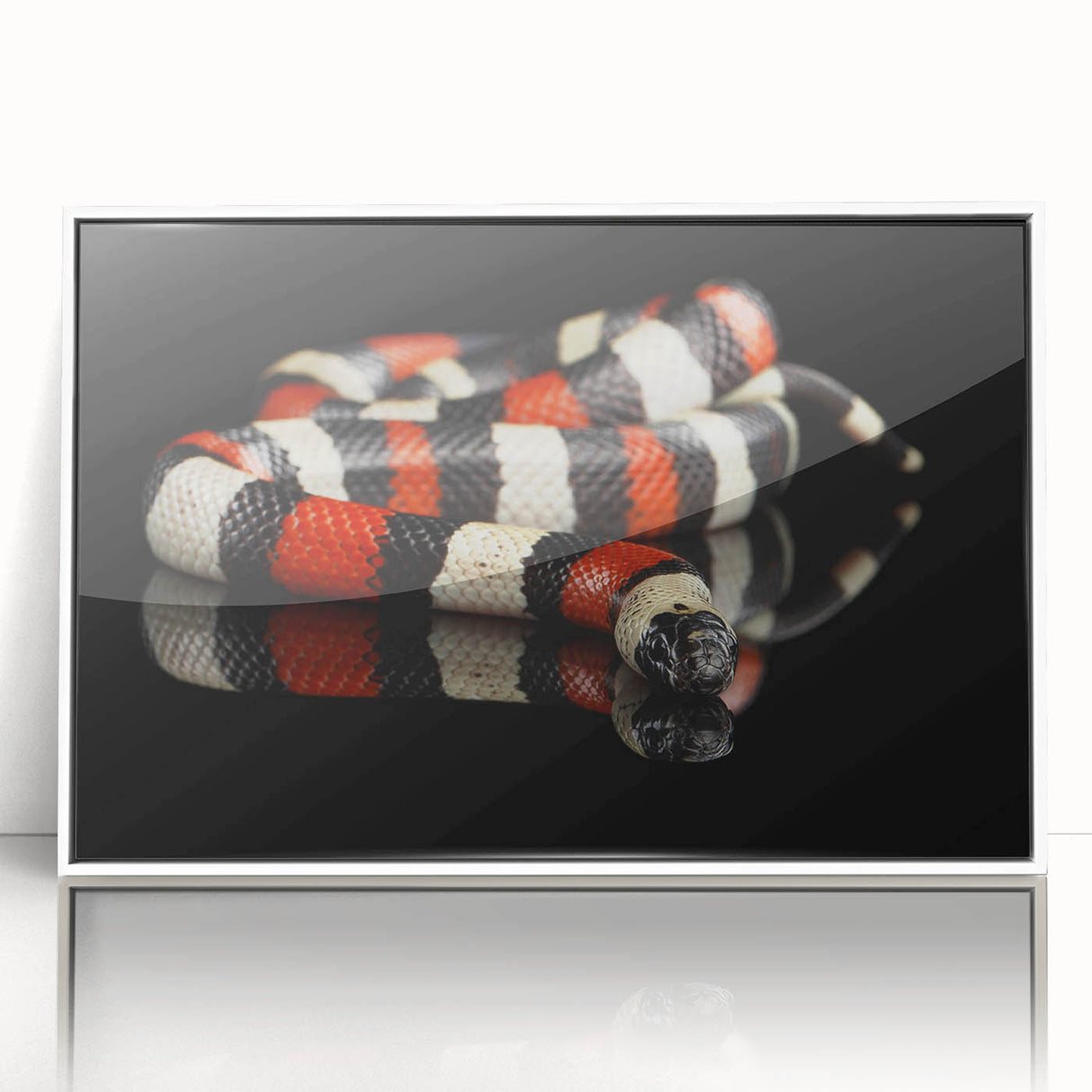 Framed wall art featuring a striking snake design in vibrant colors, set against a white background, ideal for reptile enthusiasts and modern decor.