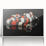 Framed wall art featuring a striking snake design in vibrant colors, set against a white background, ideal for reptile enthusiasts and modern decor.