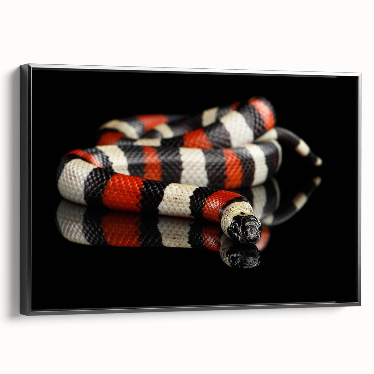 Framed canvas wall art featuring a striking snake design in black, showcased from a side view, perfect for reptile enthusiasts and modern decor.