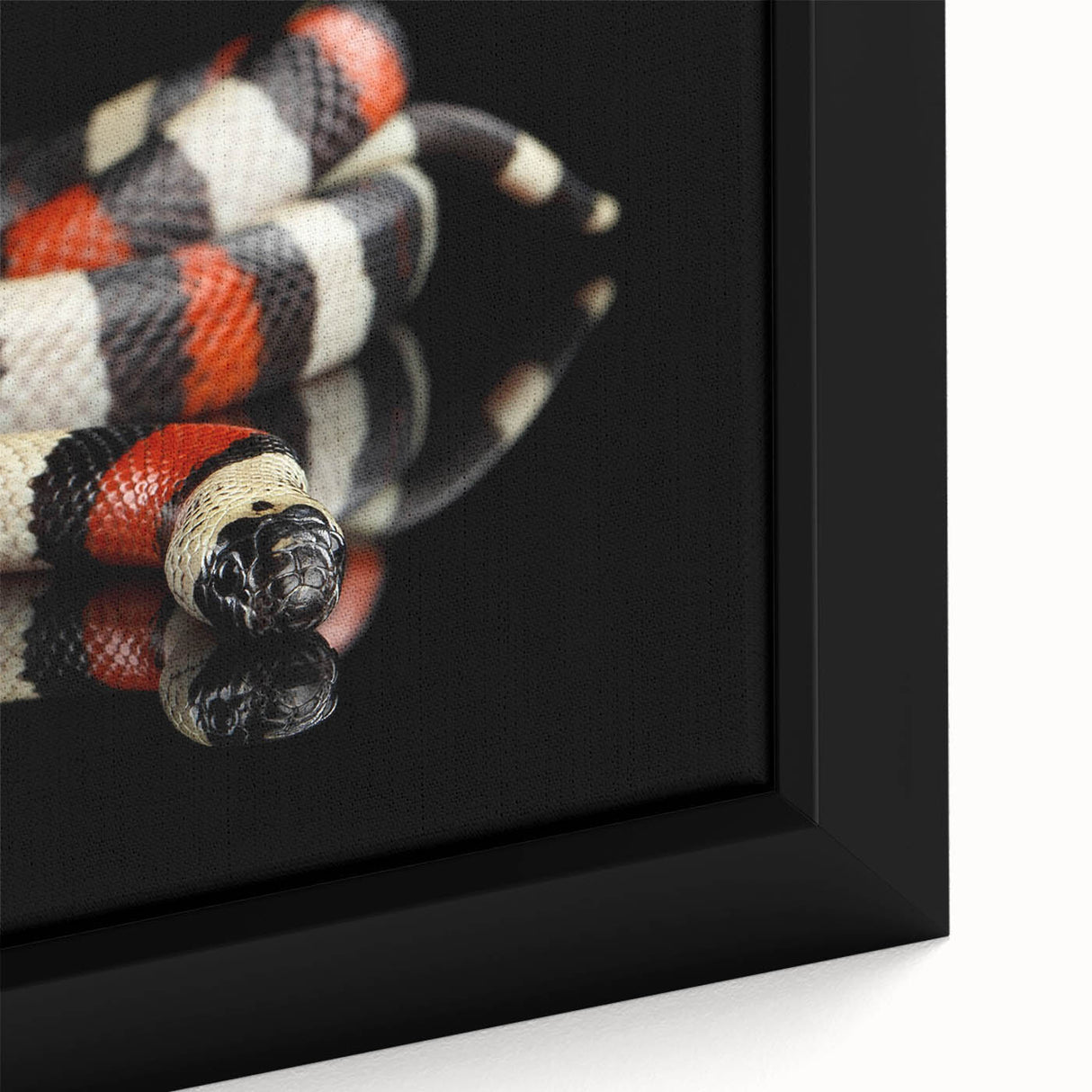 Close-up view of a framed canvas wall art piece showcasing a vibrant reptile snake design, featuring intricate patterns in bold colors, ideal for modern home decor.