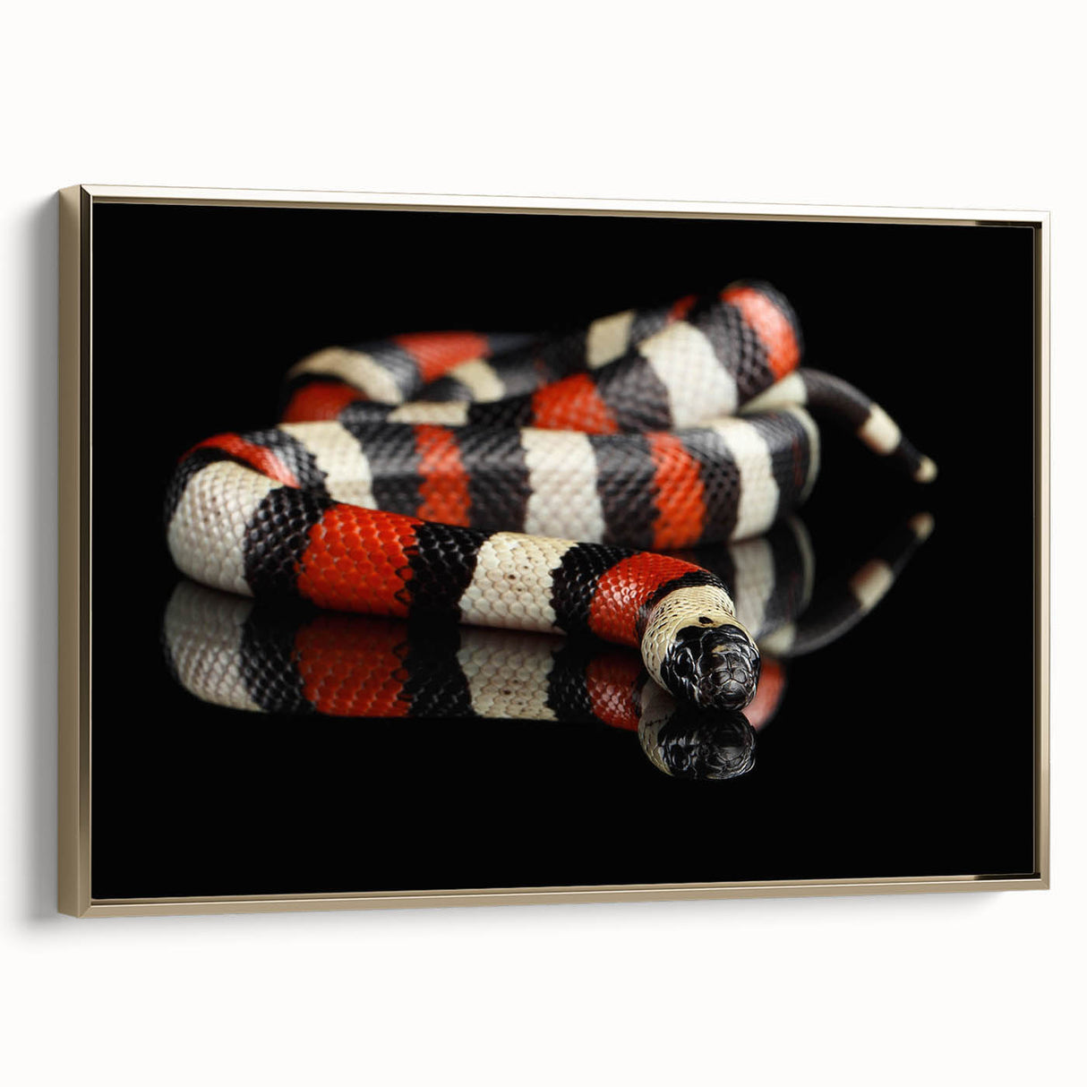 Framed canvas wall art showcasing a stylish snake design in gold tones, elegantly displayed from a side view, perfect for modern decor and reptile enthusiasts.