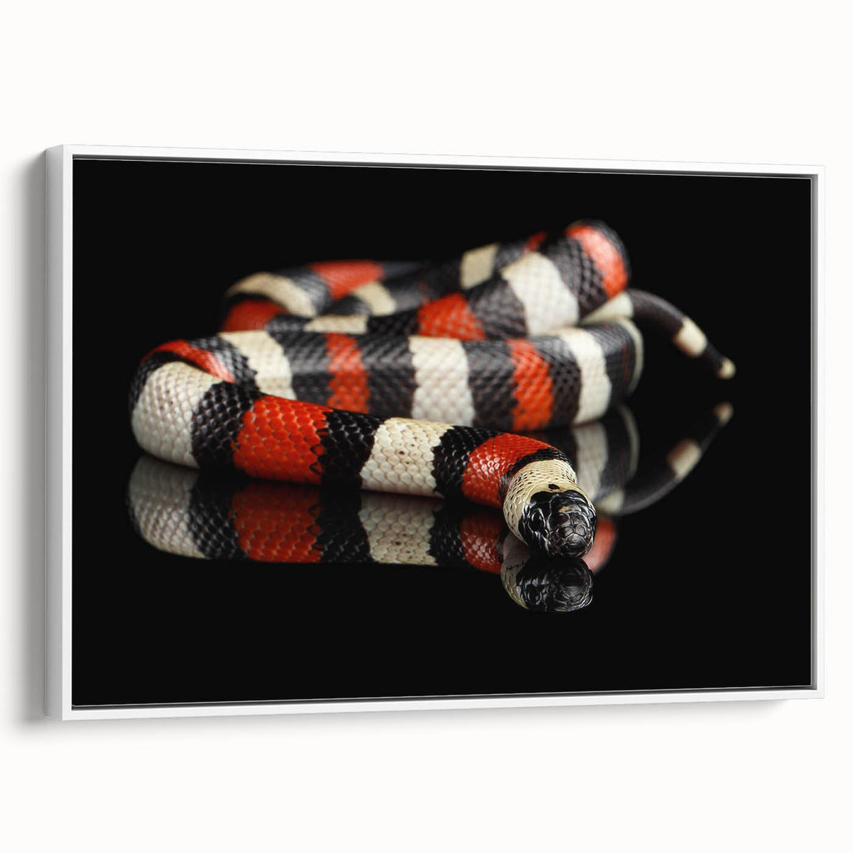 Framed wall art featuring a vibrant snake design in a modern style, showcasing intricate patterns against a white background, perfect for reptile enthusiasts.