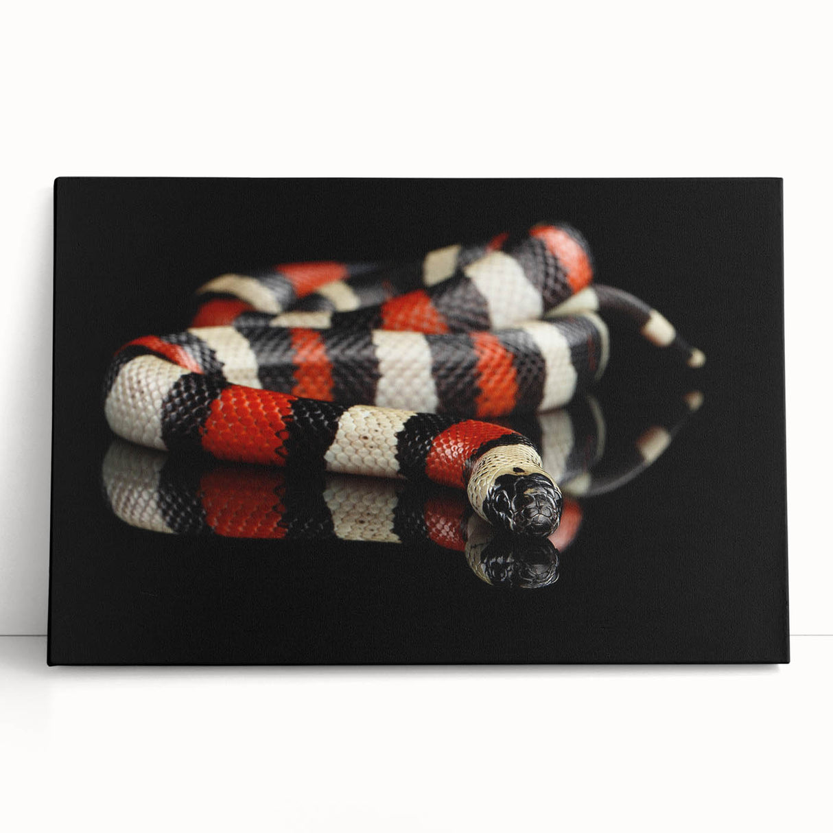 Stretched canvas wall art featuring a vibrant reptile snake design, showcasing intricate details and bold colors, perfect for enhancing modern home decor.