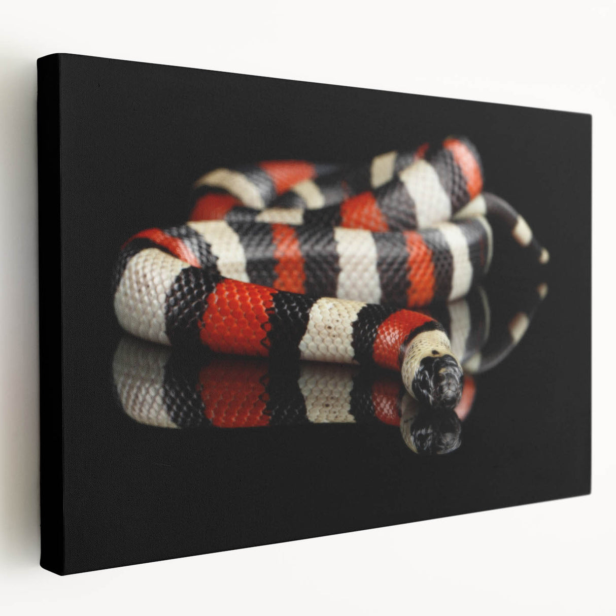 Stretched canvas wall art featuring a vibrant, detailed snake design in shades of green and brown, perfect for reptile lovers and home decor enthusiasts.
