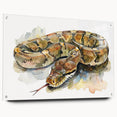 Colorful snake-themed wall art design displayed in a sleek acrylic frame, showcasing intricate details and vibrant colors, perfect for reptile enthusiasts.