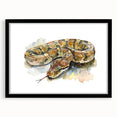 Framed wall art collection featuring a striking black and white snake design, showcasing intricate details and textures, perfect for reptile lovers and modern decor.