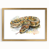 Stylish wall art featuring a gold-framed design of a snake, showcasing intricate reptile patterns, perfect for adding elegance to home decor. Ideal for reptile enthusiasts and modern art lovers.