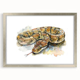 Framed wall art featuring a detailed snake design in silver, showcasing intricate scales and vibrant colors, ideal for reptile enthusiasts and modern decor.