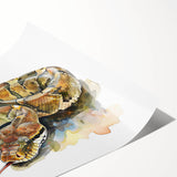 Vibrant wall art print showcasing a detailed design of a snake, featuring intricate patterns and colors, rolled and ready for display in any reptile-themed decor.