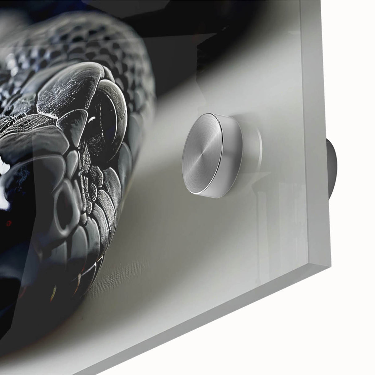 Close-up of an acrylic glass wall art piece featuring a vibrant snake design, showcasing intricate details and vivid colors, ideal for reptile enthusiasts' decor.