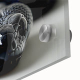 Close-up of an acrylic glass wall art piece featuring a vibrant snake design, showcasing intricate details and vivid colors, ideal for reptile enthusiasts' decor.