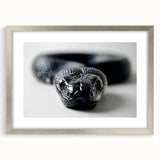 Framed wall art featuring a detailed snake design in silver tones, showcasing intricate scales and patterns, ideal for reptile enthusiasts and modern decor.