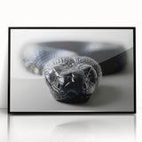 Framed acrylic wall art featuring a detailed snake design in vibrant colors, set against a sleek black background, ideal for reptile enthusiasts and home decor lovers.