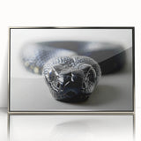 Framed wall art featuring a striking silver-accented snake design, showcasing intricate details and vibrant colors, perfect for reptile enthusiasts and modern decor.
