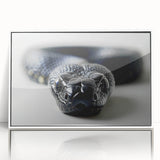 Framed wall art featuring a striking snake design in vibrant colors, with a sleek white frame, perfect for reptile enthusiasts and modern decor.