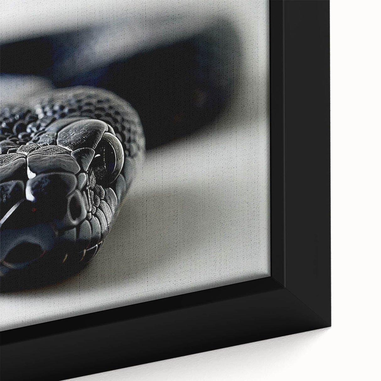 Close-up of a framed canvas print showcasing a vibrant reptile snake design, featuring intricate details and vivid colors, perfect for wildlife-themed decor.