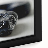 Close-up of a framed canvas print showcasing a vibrant reptile snake design, featuring intricate details and vivid colors, perfect for wildlife-themed decor.