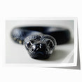 Colorful reptile-themed wall art print featuring a beautifully detailed snake design, rolled for easy shipping and display in a stylish setting. Ideal for nature lovers and home decor enthusiasts.