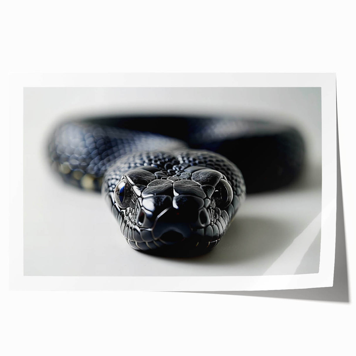 Colorful reptile-themed wall art print featuring a beautifully detailed snake design, rolled for easy shipping and display in a stylish setting. Ideal for nature lovers and home decor enthusiasts.