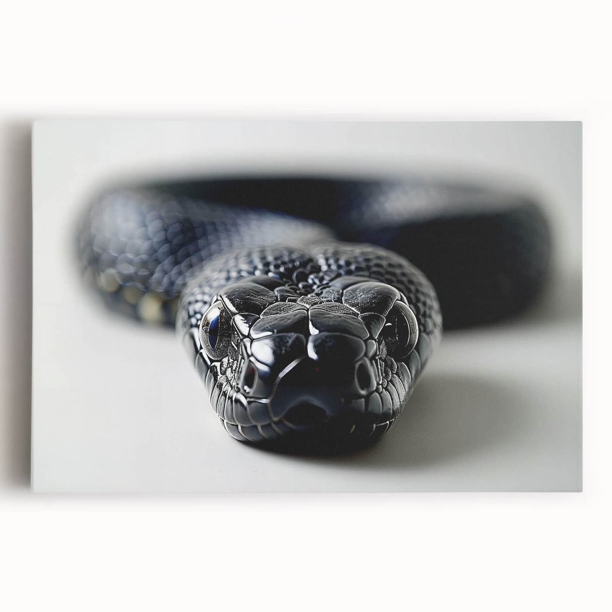 Stretched canvas wall art featuring a vibrant snake design with intricate details and bold colors, perfect for reptile enthusiasts and modern decor.