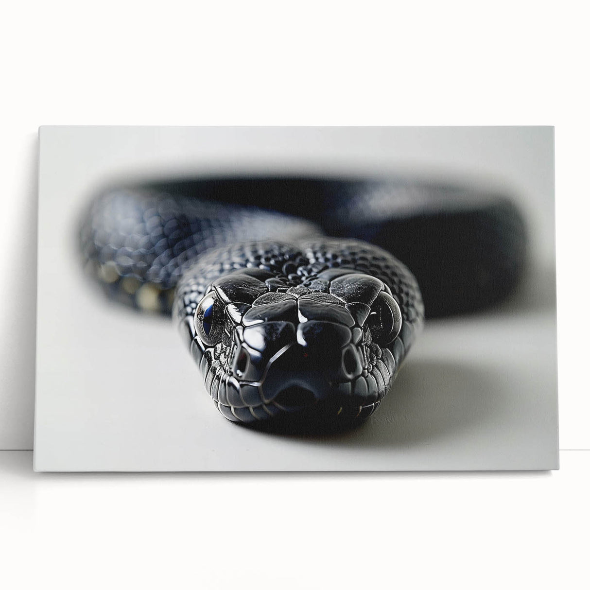 Stretched canvas wall art showcasing a vibrant reptile snake design, featuring intricate details and bold colors, perfect for adding a unique touch to any room decor.